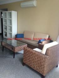 Parc Vista (D22), Condominium #104814312